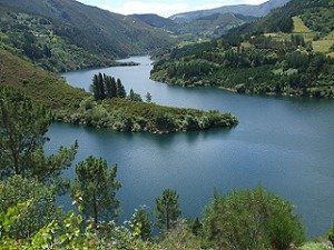 DESEMPEÑO AMBIENTAL DE SALTOS DEL NAVIA EN EL AÑO 2016 DESEMPEÑO AMBIENTAL DE SALTOS DEL NAVIA EN EL AÑO 2016