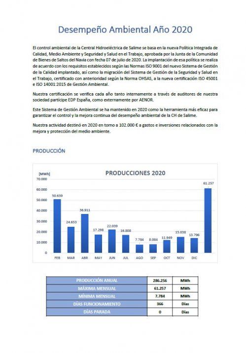 DESEMPEÑO AMBIENTAL AÑO 2020